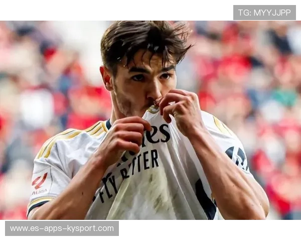 奥萨苏纳伤停与替补情况全面解析：球队战力的幕后秘密